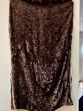 Zara Brown Sequined Midi Skirt